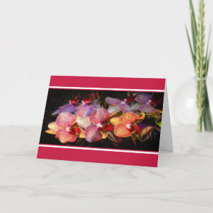 Carte orchidée rayée