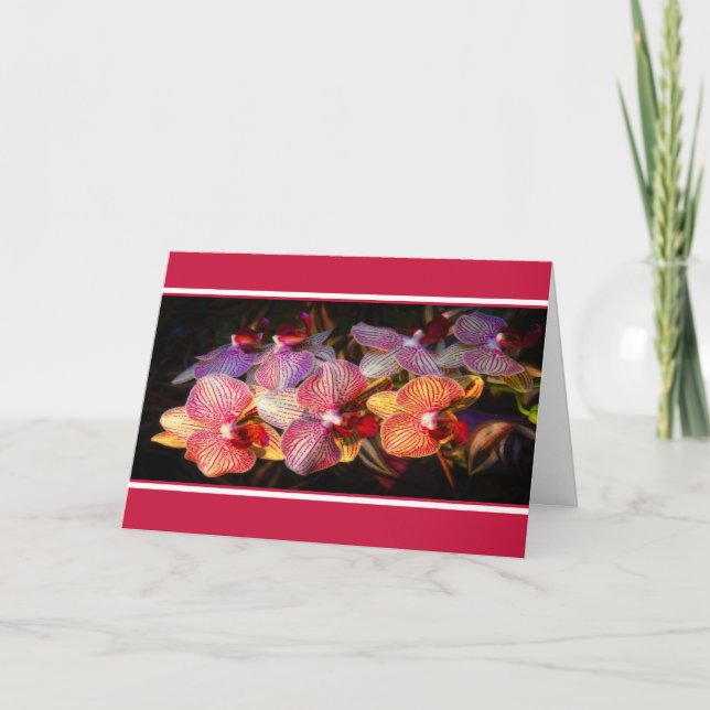 Carte orchidée rayée (Devant)