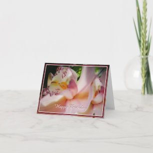 Carte Orchidée rose pâle