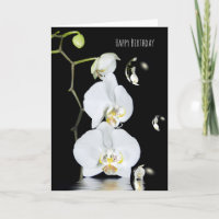 orchidées blanches avec l'anniversaire de