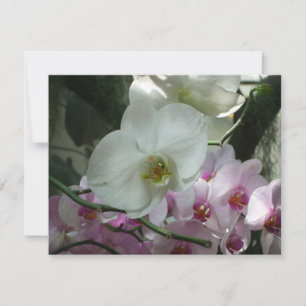 Carte Orchidées blanches et violettes