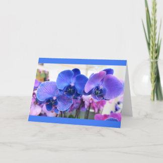 Carte "Orchidées Bleues" - Salutation toutes occasions
