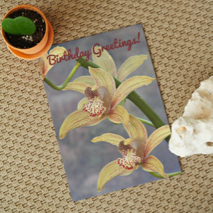 Carte Orchidées de Cymbidium Specké Anniversaire Floral