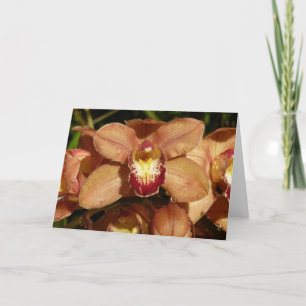 Carte Orchidées de Pêche avec Raindrops Floral