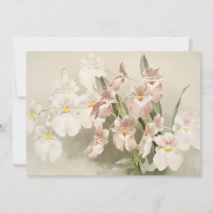 Carte Orchidées Fleur Vintage vieille illustration