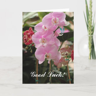 Carte Orchidées roses