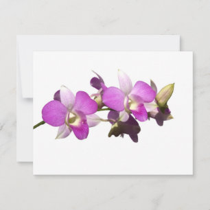 Carte Orchidées roses