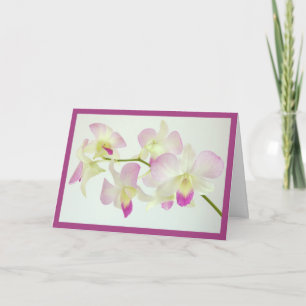 Carte Orchidées sur fond blanc, Joyeux Anniversaire !