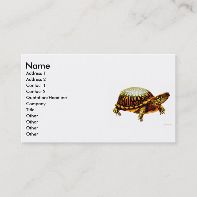 Carte orientale de profil de tortue de boîte (Devant)