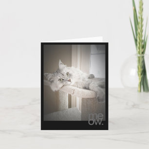 Carte originale d'anniversaire de Meow traduite