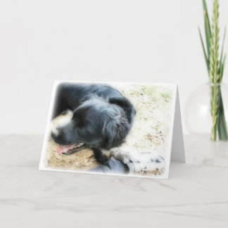 Carte Orton Smokey et Matte