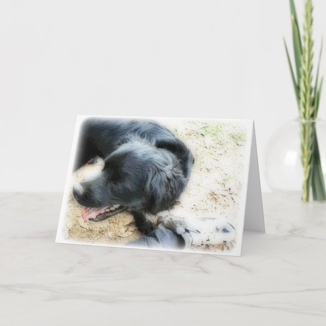 Carte Orton Smokey et Matte (Devant)