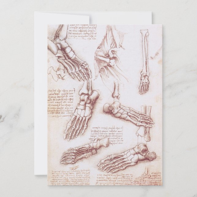 Carte Os de pied anatomiques humaines de Léonard de Vinc (Devant)