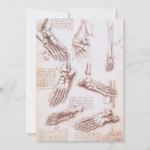 Carte Os des du pied selon l'anatomie humaine de Léonard
