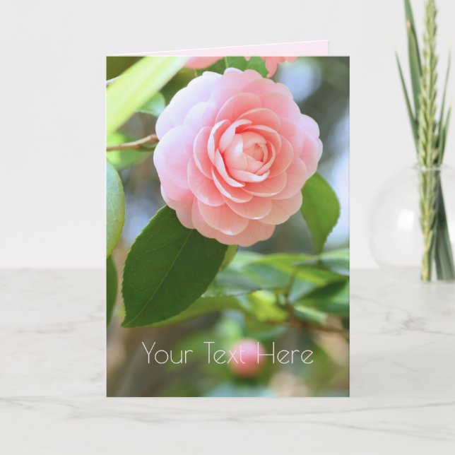 Carte Otome-tsubaki: Camellia [Greeting Card] (Devant)