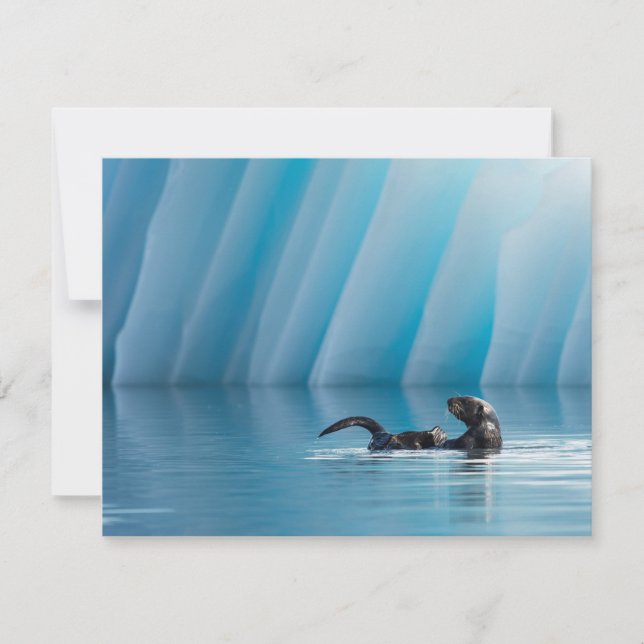 Carte Otter de mer joueuse (Devant)