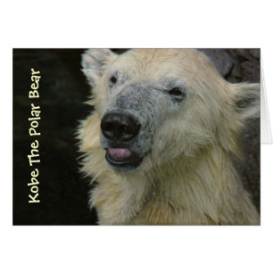 Carte : Ours polaire souriant