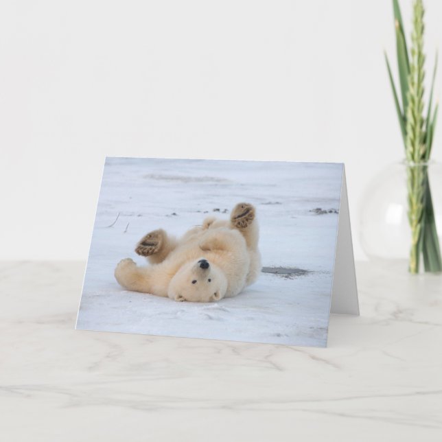 Carte ours polaire, Ursus maritimus, petit roulement 3 (Devant)