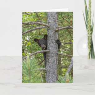 Carte Ourson grimpe à un arbre