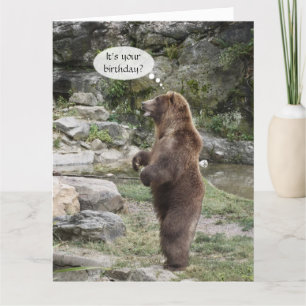 Carte Ovation debout d'ours gris GRANDE