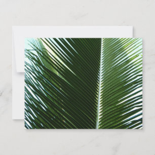 Carte Overlapping Palm Fronds Tropical Green Abstract
