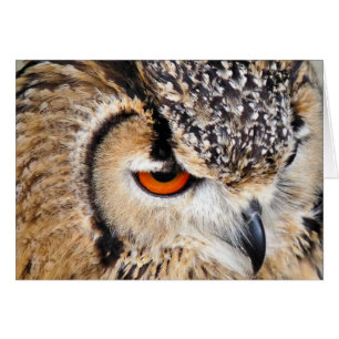 Carte OWL