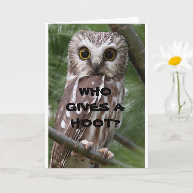 CARTE * OWL COMÉDIQUE* ANNIVERSAIRE** HUMOUR (Petite plante)