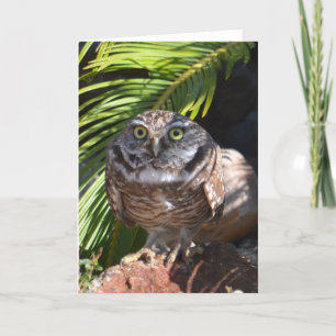 Carte Owl greeting card