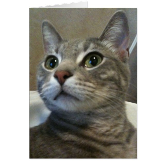 Carte Ozzy 1 (Devant)