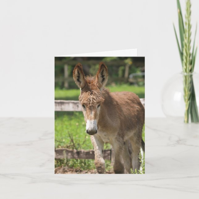 CARTE P6038047 (Devant)