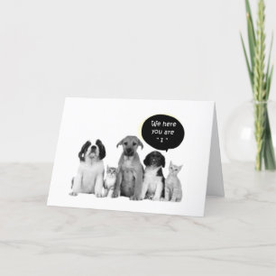 CARTE PACK OF PUPPIES DIT HEUREUX "1ER" ANNIVERSAIRE