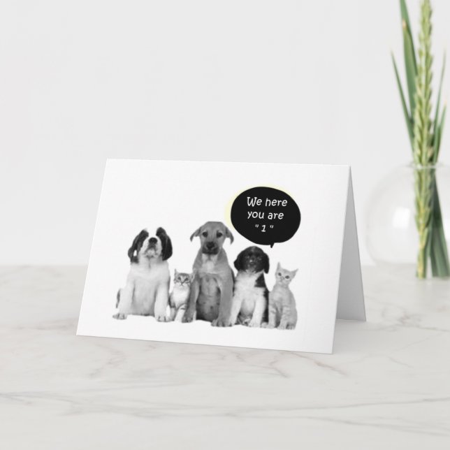 CARTE PACK OF PUPPIES DIT HEUREUX "1ER" ANNIVERSAIRE (Devant)