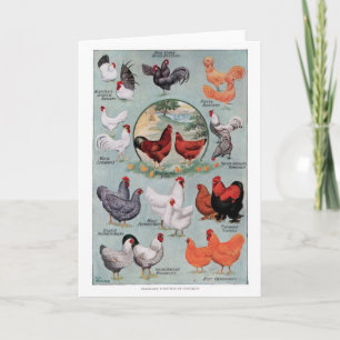 Carte Page Livre Vintage de poulets