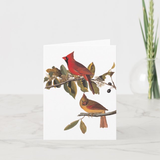 Carte Paire de cardinaux d'Audubon dans un arbre d'amand (Devant)