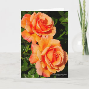 Carte Paire De Fleur D'Rose Orange