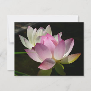 Carte Paire de fleurs de Lotus II