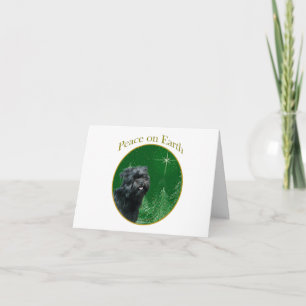 Carte Paix Affenpinscher