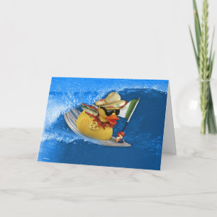 Carte Paix chez Cinco De Mayo