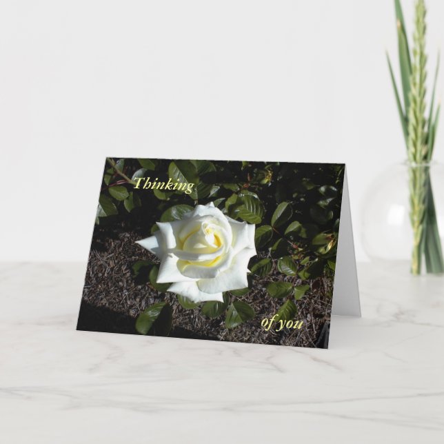 Carte Pale Yellow Rose : Je pense, de vous (Devant)