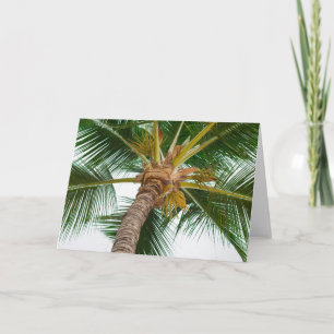 Carte Palmier en bas