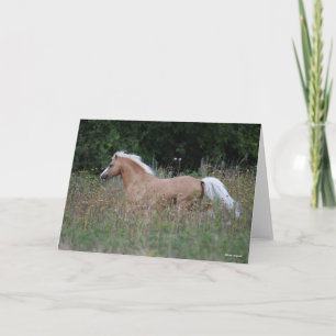 Carte Palomino Gallois Pony Courant En Longue Herbe