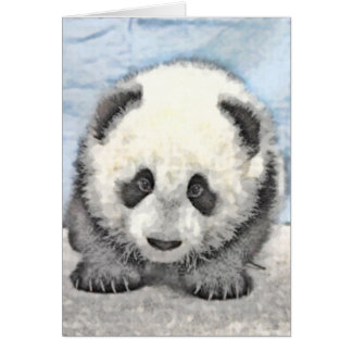 Carte Panda