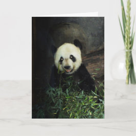 Carte Panda