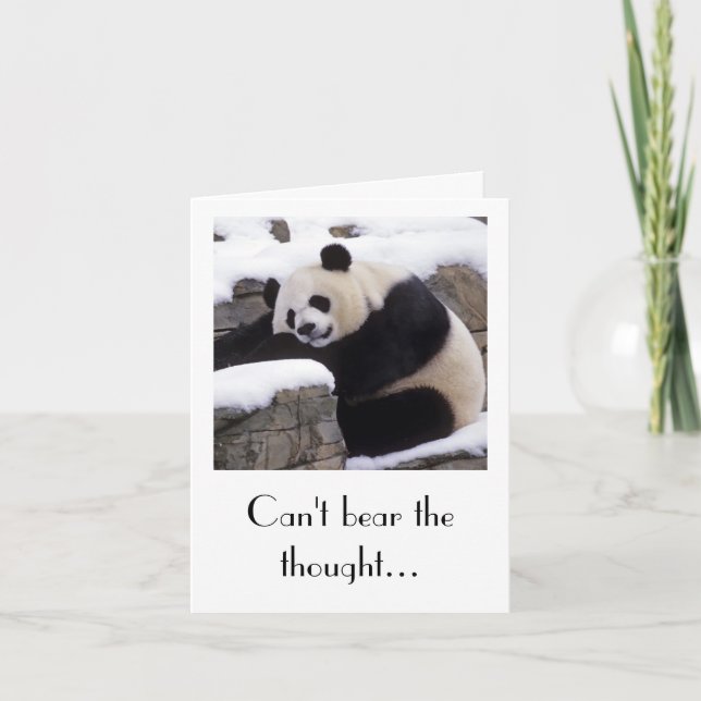 Carte Panda Get Well Card (Devant)