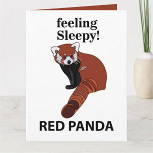 Carte Panda roux qui se sent somnolent drôle Panda roux