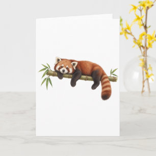 Carte Panda roux se reposant sur du bambou