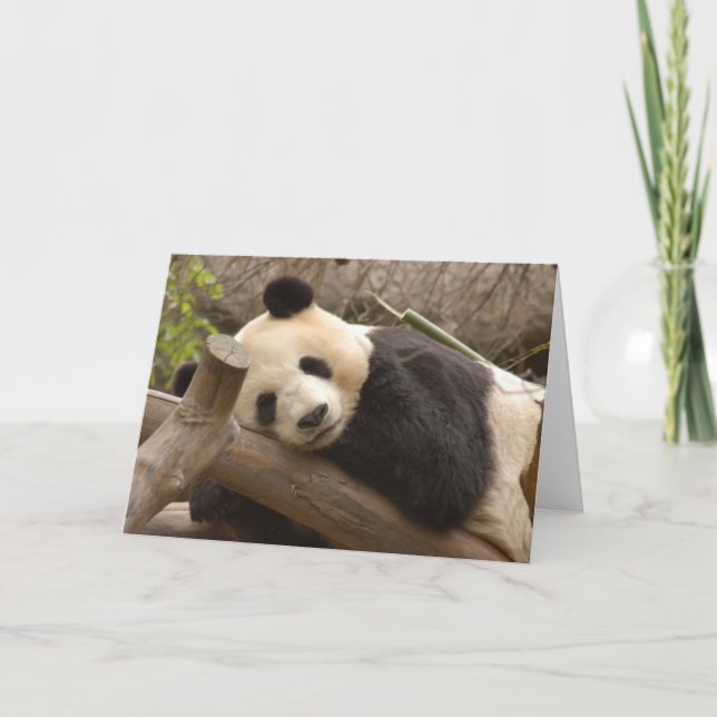 Carte Panda SD010 (Devant)