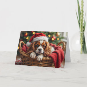 Carte Panier Confortable pour Cavalier King Charles Span
