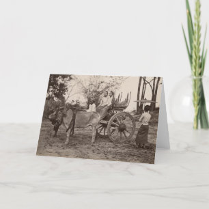 Carte Panier tiré par deux boeufs à Mandalay, Birmanie