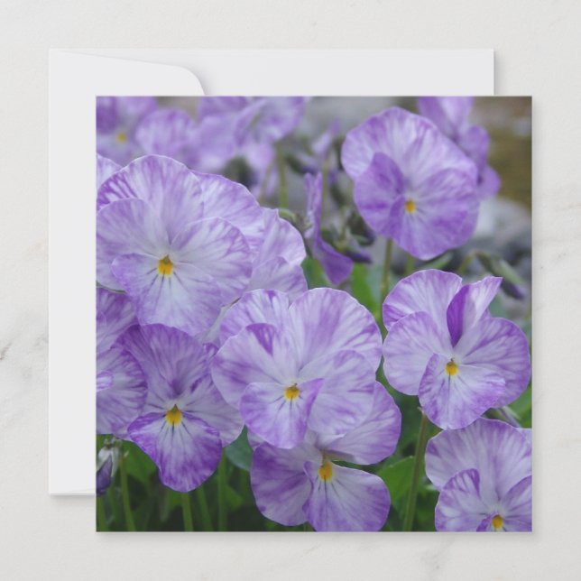 Carte Panneaux de champ (Devant)